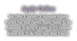 Apply Online We offer a variety of adorable kittens perfect for your family. Apply today to be approved to bring a kitten to it’s forever home and to be your new best friend.